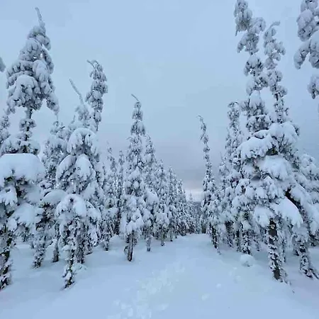 Appartement Land Of A Thousand Mountains *